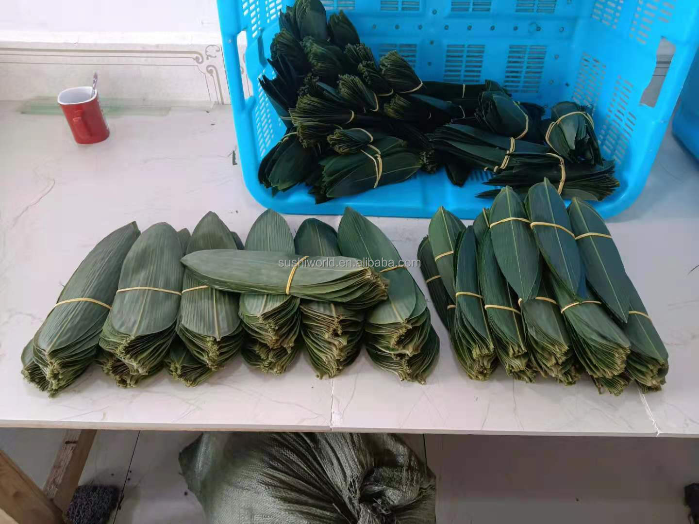 Serve Sushi with Fresh and Natural Bamboo Leaf Wrappers NO Address Required