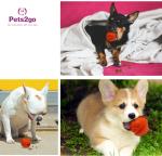 Indestructible Natural Rubber Dura Play Dog Ball