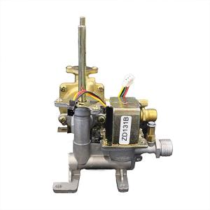 Quality Commercial NG LPG Gas Water Heater Solenoid Valve For Safe Efficient Hot Water Supply wholesale