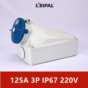 Quality 125A IP67 220V 3P IEC Standard Industrial Wall Mounted Socket Waterproof wholesale