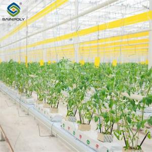 Quality Galvanized Frame Single Span Tunnel Greenhouse Plastic Shed For Vegetables wholesale