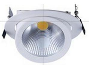 Quality LED COB trunk light 20w 145mm cutout input voltage 100-240V AC wholesale