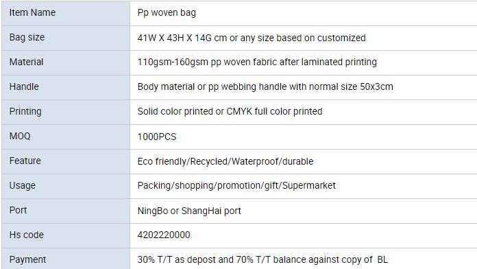 Manufacturer Wholesale Promotional Price Recyclable Fabric Shopping Tote Carry Custom PP Woven Bags, bagplastics, bageas