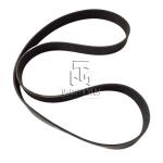 V- ribbed belt1787mm 01183383 01182478 0118 3383 0118 2478 1183383 1182478 for