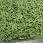 Crop Iqf Frozen Edamame Soybeans Frozen Green Edamame Frozen Soybean In Pods