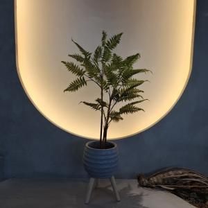 Quality Lifelike Artificial Fern Tree for Indoor/Outdoor Decor wholesale