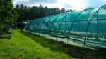 Customizable Weather Resistant HDPE Shade Cloth Net For Agricultural Sun