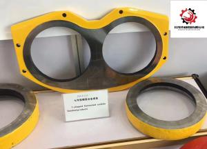 Quality VS70 TK70 Putzmeister Concrete Pump Truck Parts Plate Glasses wholesale