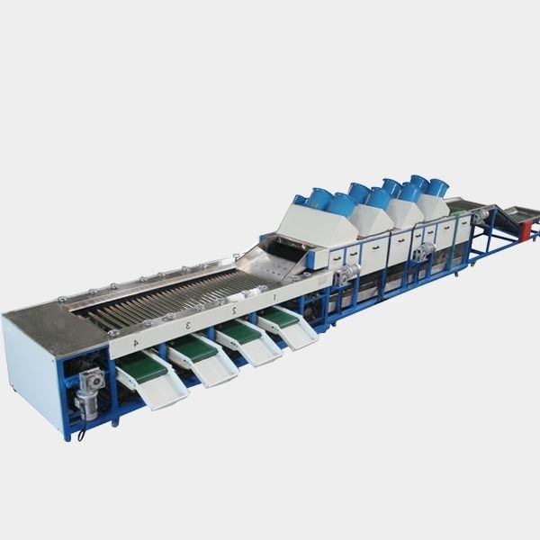 5-8 T / H Pomegranate Kiwi Ellipse Fruit Sorting Machine