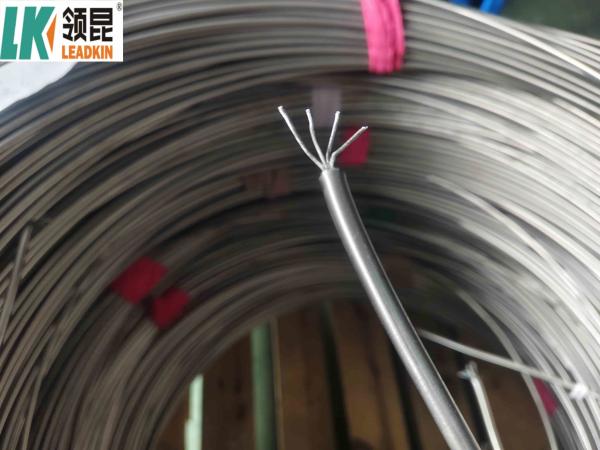 Nicr-Nisi Conductor Material SS304 321 316 310 Inconel 600 Sheath K N E J T Mi