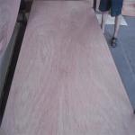 Bintangor Core 5 Ply 8.5mm Bintangor Plywood