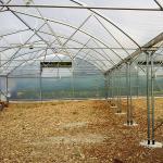 Galvanized Steel Frame Multi Span Agricultural Greenhouses Flower Vegetable