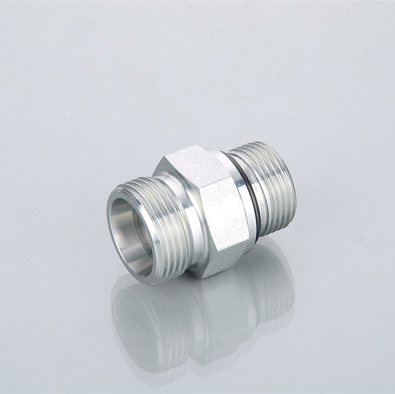 Bsp Thread with O-Ring Seal 1cg/Dg 1cg-Rn/Dg-Rn