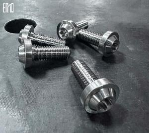 Quality INCA Titanium Alloy Screws Ten Pieces MOC For Breakout / Softail Series（For Rear Disc） wholesale
