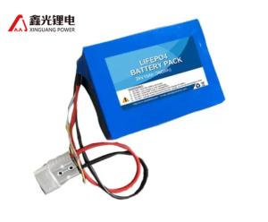 Quality Electric Robot LifePO4 24v 15Ah BMS Power Battery Packs wholesale