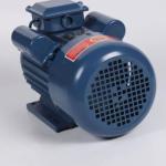 Output 380v Industrial Electric Motors Three Phase Induction Motor ODM