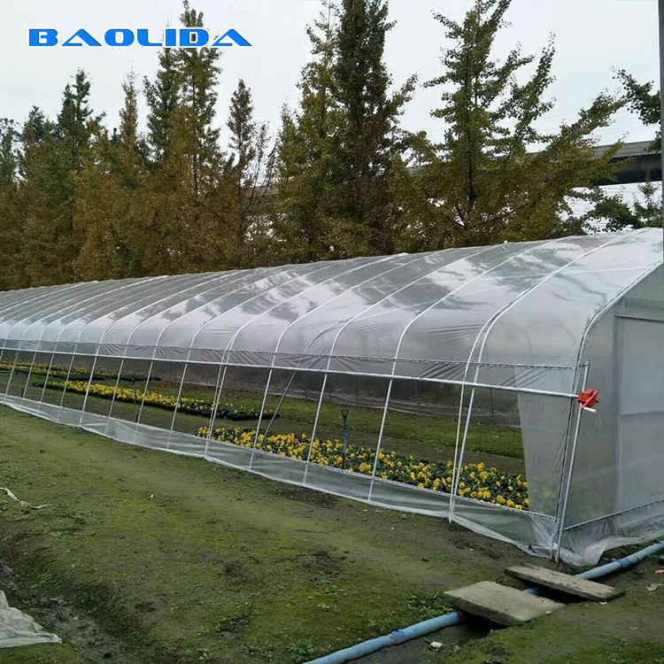 8m 9m Width Single Span Vertical Tunnel Plastic Greenhouse For Plants Growing