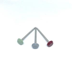 Quality Anti UV SUS316 Stainless Steel Cladding Nails Corrosion Resistant wholesale