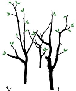 Quality Novelty Nontoxic Classic PVC Decoration Tree Wall Sticker F015 wholesale