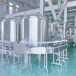Commercial Tofu Making Machine And Lucky Bag Production Line For Restaurants