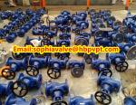 cast iron DIN globe valve PN16 GG25