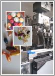 Softgel Capsule Filling Machine
