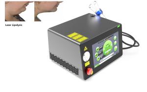 Quality Portable Laser Physiotherapy Machine Fat Removal 980nm 1470nm wholesale