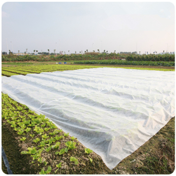 China non woven fabric used in agriculture