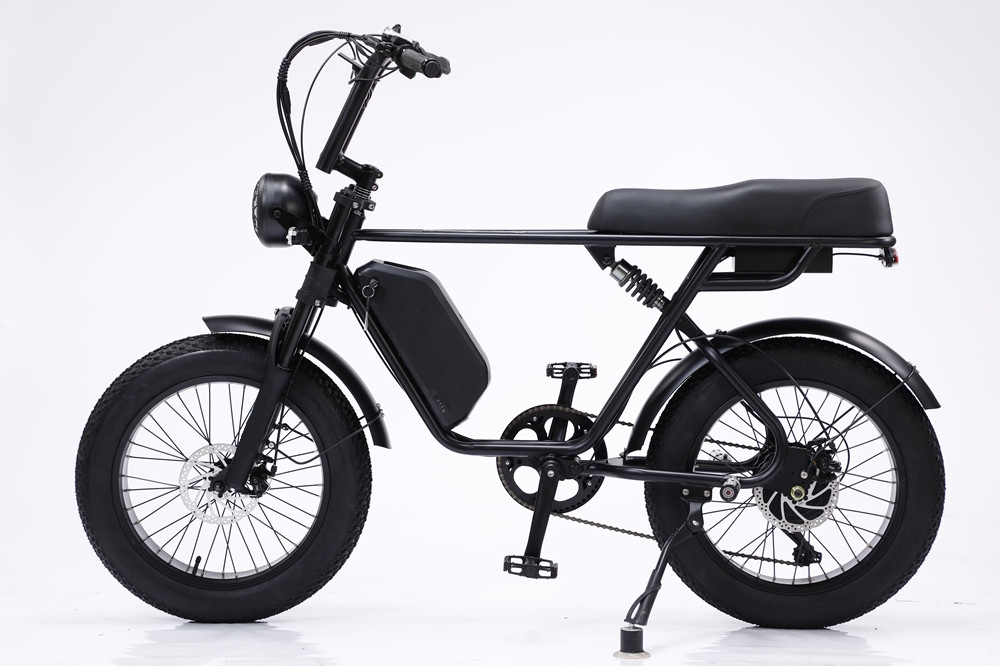 48V 750W Motor Electric Hybrid Bike Full Suspension 20 Inch Fat Tire Ebike 17Ah Battery
