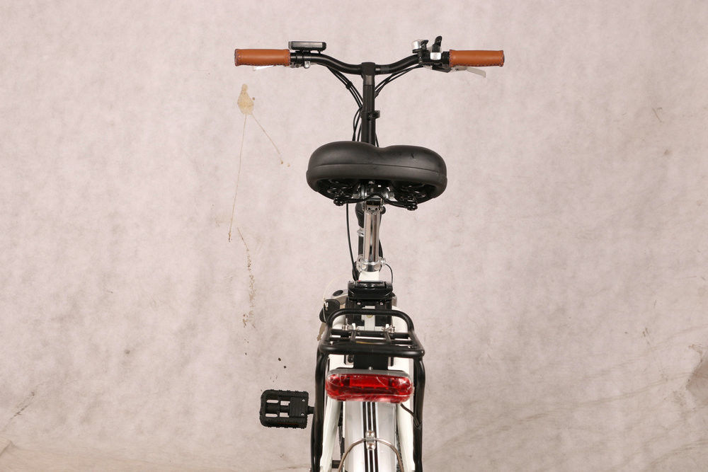 36V 250W Motorized Folding Bike TUV EN15194