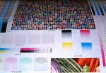 Single Faced Printing Unit Type 6 Colors Flexographic Machine for Paper Plate