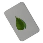 304 430 Mirror Finish Stainless Steel Sheet Wall Panel PVD 4x8 Color Coating 8K