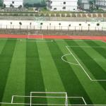 Athletes Football Synthetic Grass Field / Futsal Artificial Grass Flooring
