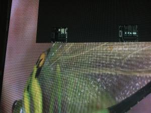 Quality 64x32 Module Video LED Display , outdoor led video wall With Hub75 Port wholesale