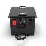 Customized Lithium Ion LiFePO4 Battery Pack 100AH Golf Cart AGV Cleaner Truck