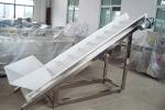 RDH Series Stainless Steel Shaqima Caramel Treats Food Conveyor