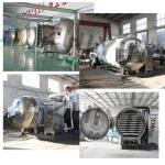Vegetable Fruit Slices Freeze Drying machine Freeze Dried Processing Equipment