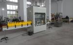 Automatic Pesticide Acid Liquid Bottling Machine Anti Corrosive Filling Capping