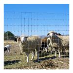 Galvanized Sheep Farm Fence Heat Treated Heavy Duty Fixed Knot Woven Wire Field