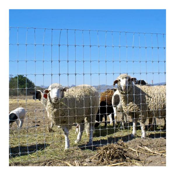 Galvanized Sheep Farm Fence Heat Treated Heavy Duty Fixed Knot Woven Wire Field
