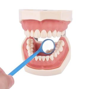 Quality Disposable Mouth Mirror Orthodontic Medical Saliva Suction Dental Mouth Mirror With Handles wholesale