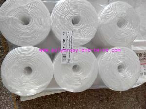 Quality Raw White Polypropylene Twine Packing Rope Lt021 Diameter 1mm - 6mm wholesale