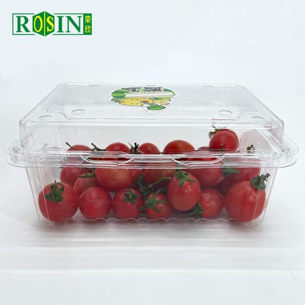 Disposable Clear PET Clamshell Hinged Lid Container Packing Supermarket Plastic