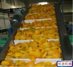 High Quality PVC Belt Curve Conveyor for Package