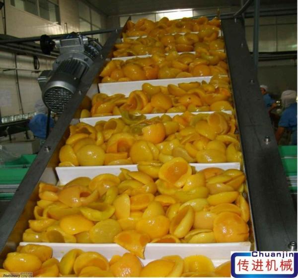 Stainless Steel Elevator Conveyor Belt Conveyor Price for Washing Vegetable and