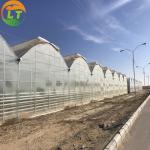 Galvanized Skeleton Cover Film for Agricultural Product in Shouguang Easy to