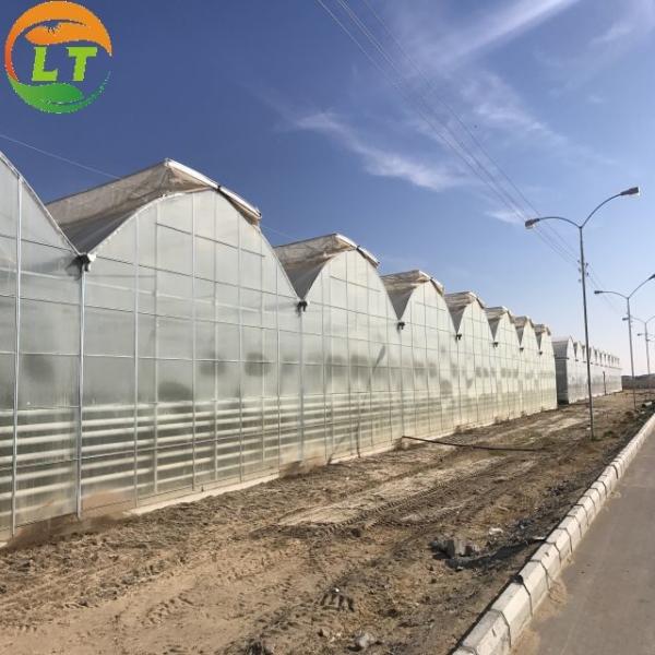 Galvanized Skeleton Cover Film for Agricultural Product in Shouguang Easy to