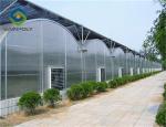 Impact Resistant 12m Polycarbonate Greenhouse For Farm