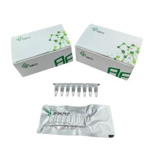 Quality Accurate Results RNA Amplification Kit High Sensitivity wholesale
