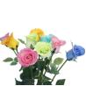 Buy cheap Real Touch PU Small Diamond Rose, 7cm Flower Heigh from wholesalers